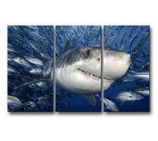 cuadro de tiburon para pared