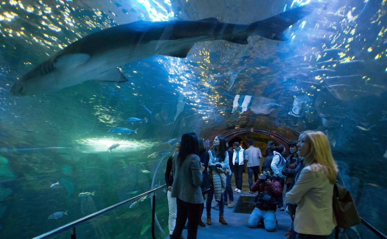 El Aquarium de San Sebástian