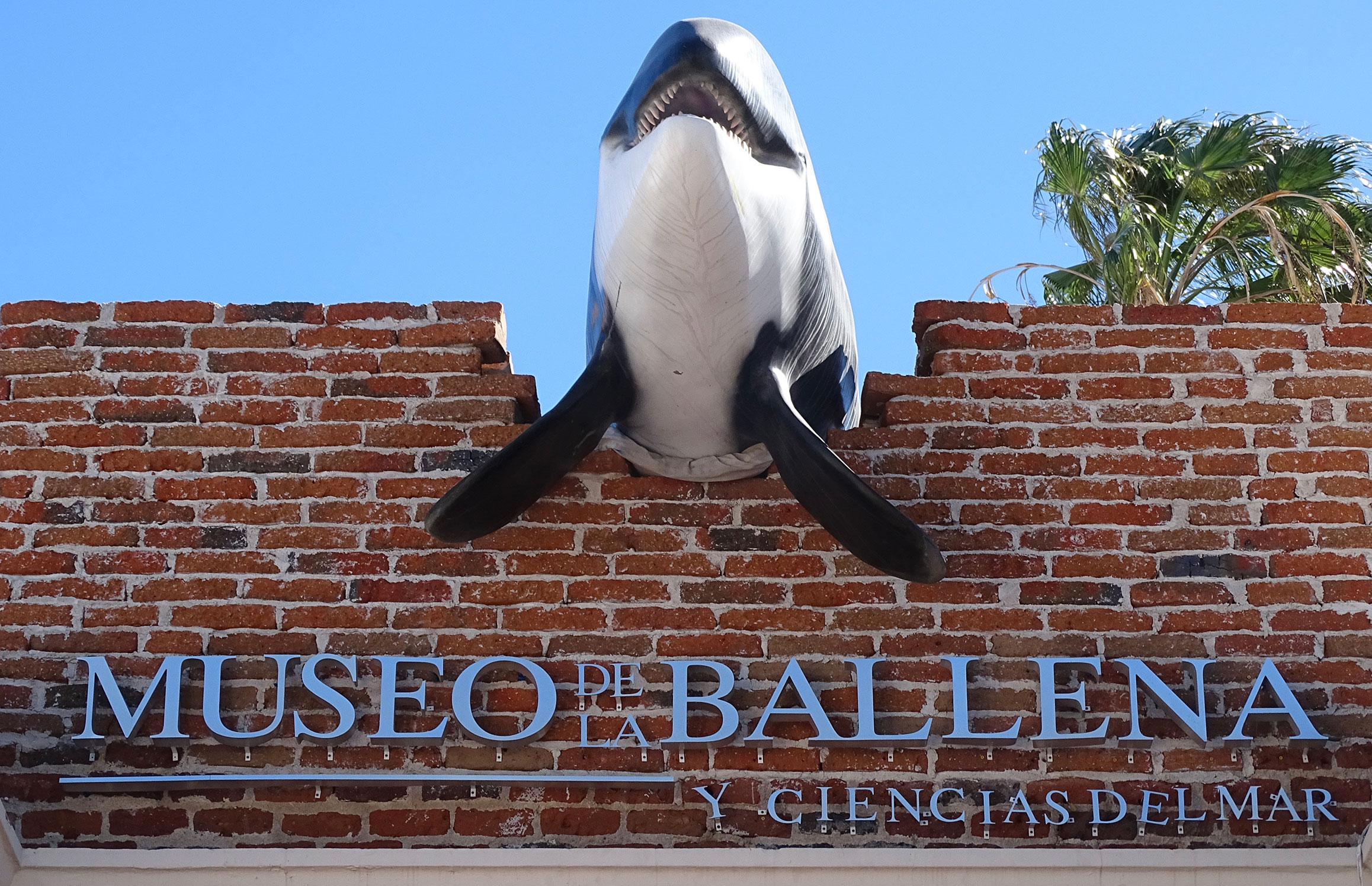 Museo de la Ballena y Ciencias del Mar (México)